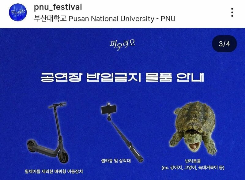 의외로 대학축제에 가져가면 안되는 것